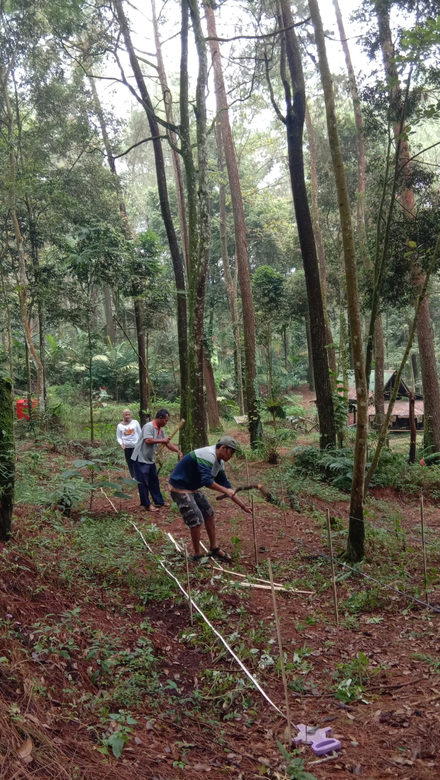 Slide 2